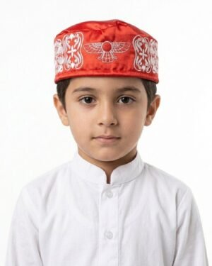 A young boy wearing a white shirt and a red embroidered Parsi topi.